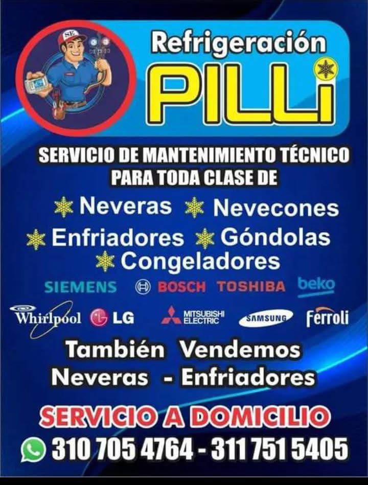 pilli 1